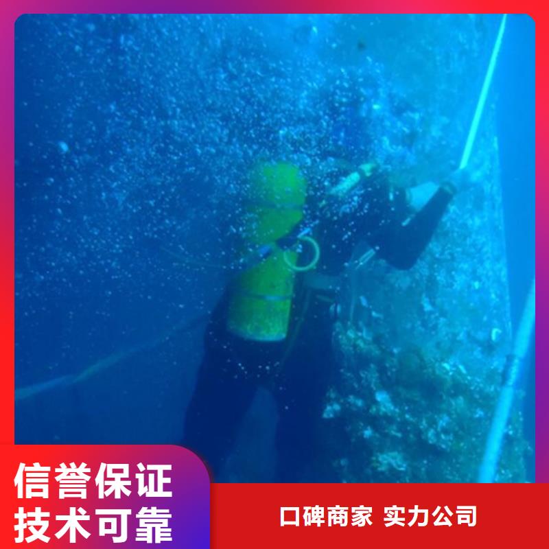 龍灣區(qū)-本地潛水員費用