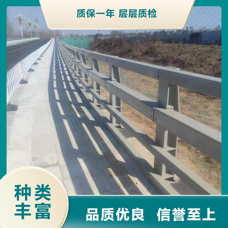 大橋公路防撞護欄-我們是廠家！