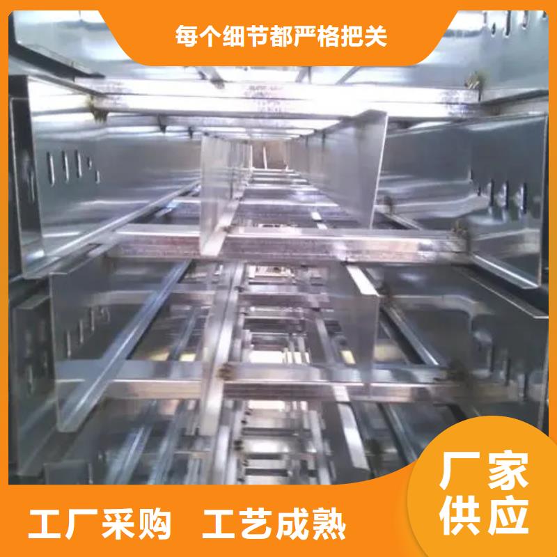 大跨距電纜橋架-大品牌質量有保障