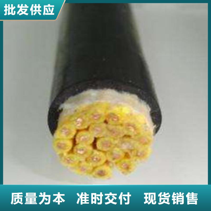 用戶喜愛的鎧裝計算機電纜DJYVP227X2X1.0價格生產廠家