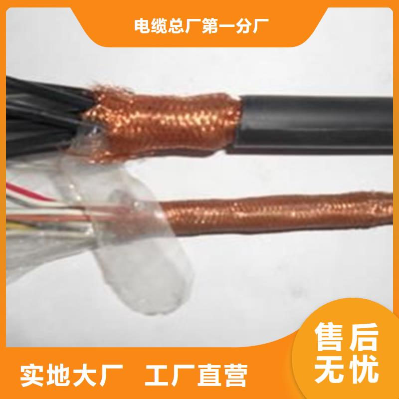 特種電纜控制電纜信譽有保證