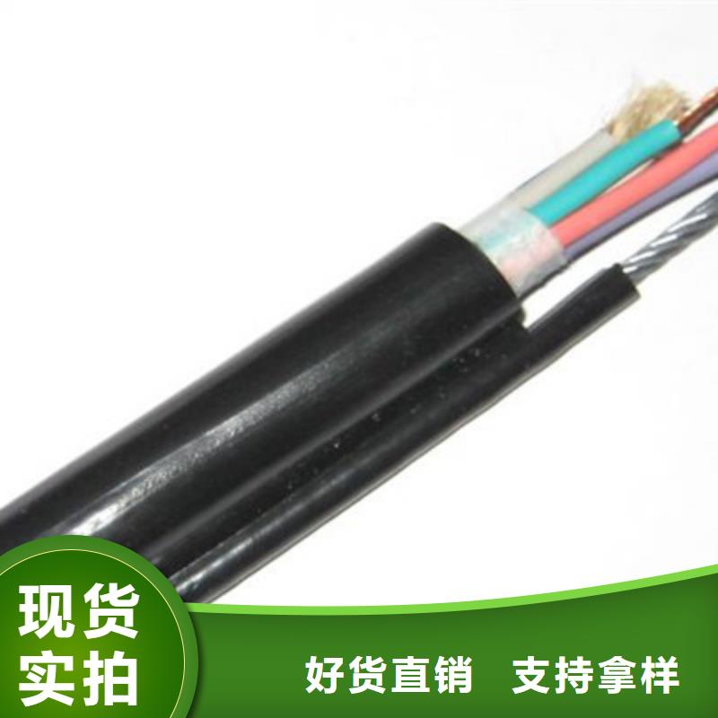 現貨供應2X10兩芯控制電力電纜_廠家