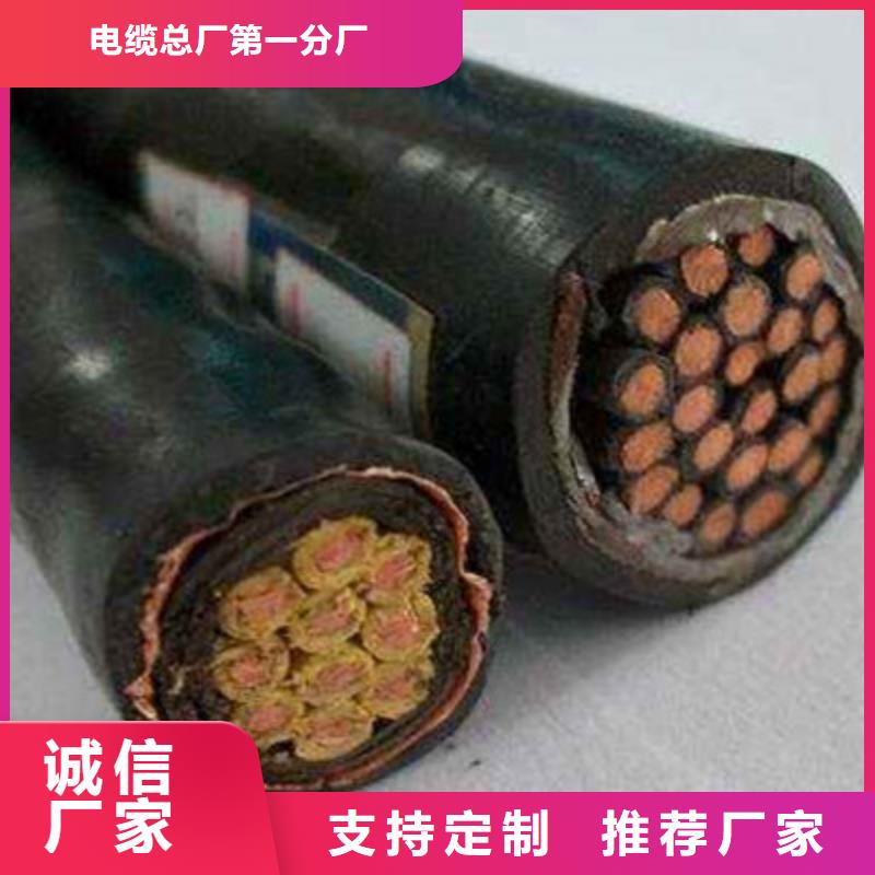 電話線NH-RVSP2X1.5好品質看的見