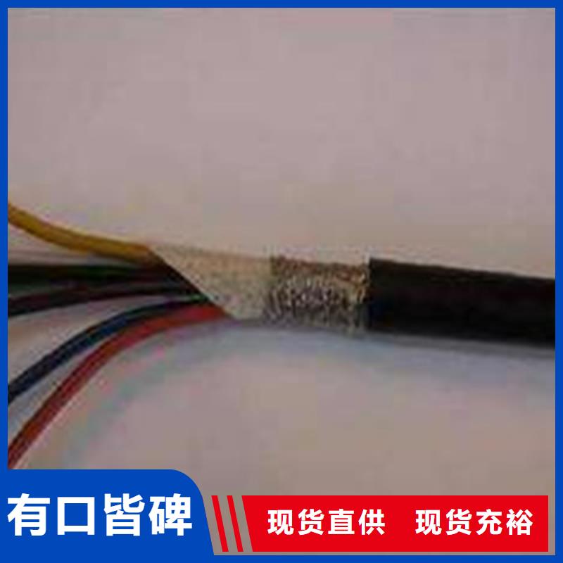 RV1X10平方電纜直銷(xiāo)訂購(gòu)找大品牌