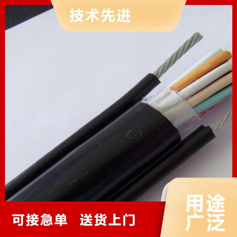 電話(huà)線(xiàn)NH-RVSP2X1.5廠家-高品質(zhì)