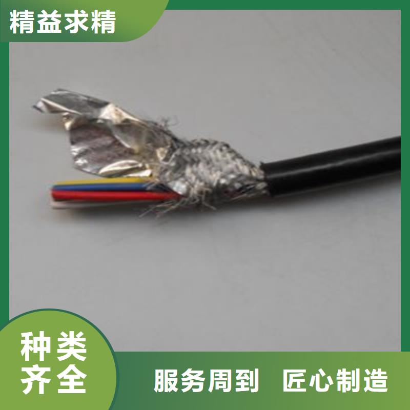 DJVP1V-TR2X0.25計(jì)算機(jī)電纜品種多樣