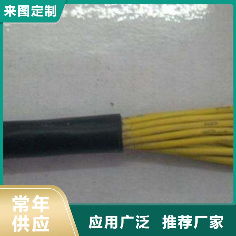 常年供應天聯牌電纜SBVVP1X23/0.15廠家