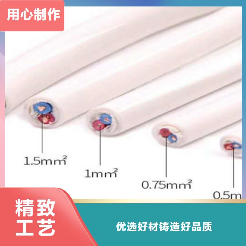 規格齊全的HJVV50X2X0.5室內局用電話線灰色供貨商