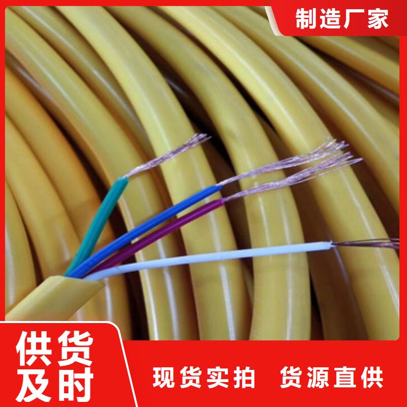 供應(yīng)批發(fā)SBYV0.4X32PX2電纜結(jié)構(gòu)圖片-品牌