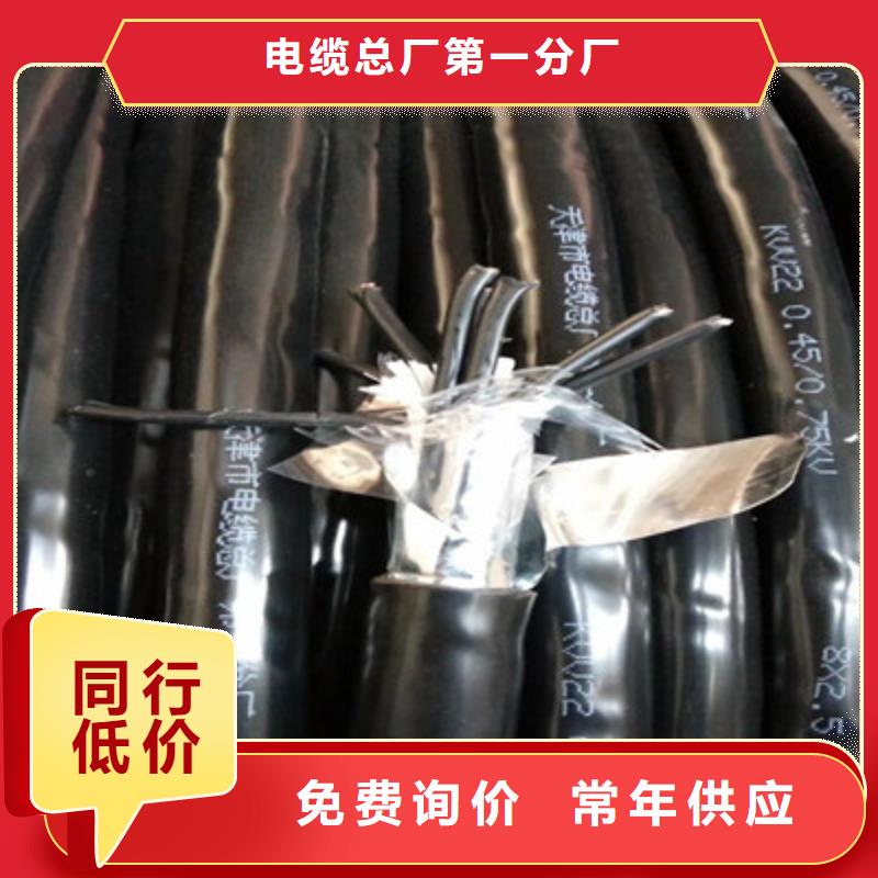 質(zhì)量優(yōu)的PTYA2312X1.0鋼帶鎧裝鐵路信號電纜供應商