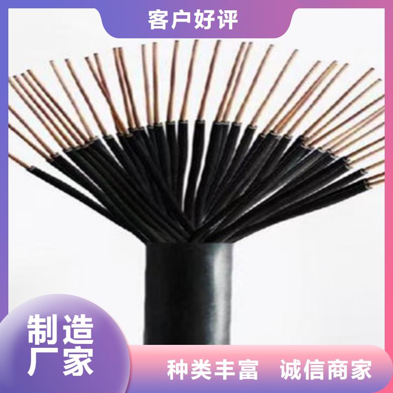 生產(chǎn)計(jì)算機(jī)用電纜_誠(chéng)信廠家