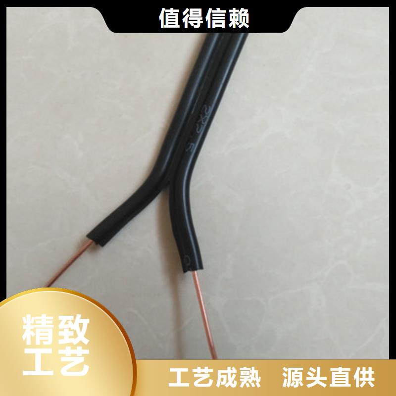 特種電纜,【鐵路信號電纜】好廠家有擔當