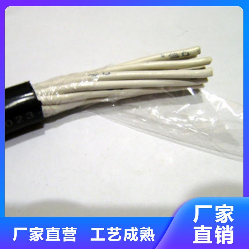 廠家批發(fā)廠家直銷WDZ-HPV2X0.5通訊電纜價格優(yōu)惠