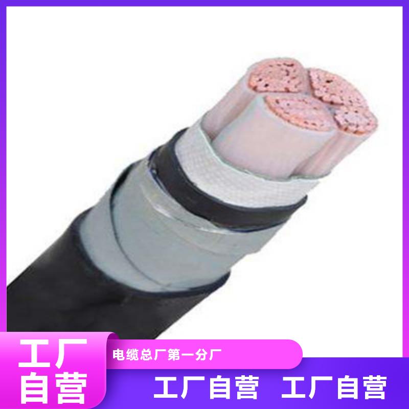 礦用橡套電纜MYPTJ-1X6