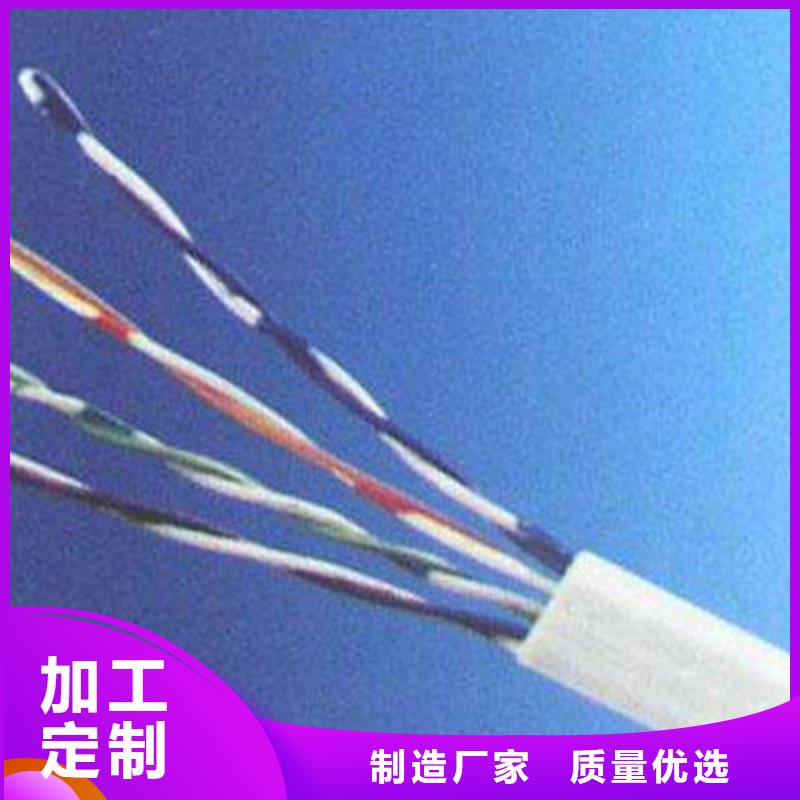 HCTEVS灰色通訊電纜1對1.5