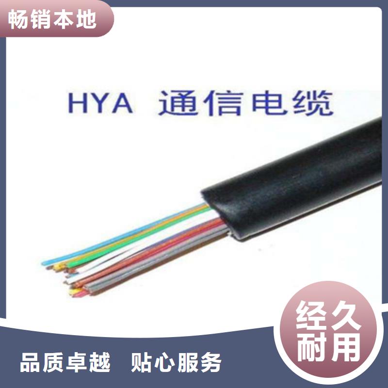 ZRA-HSGWPP22鎧裝網線2X5L品質過關