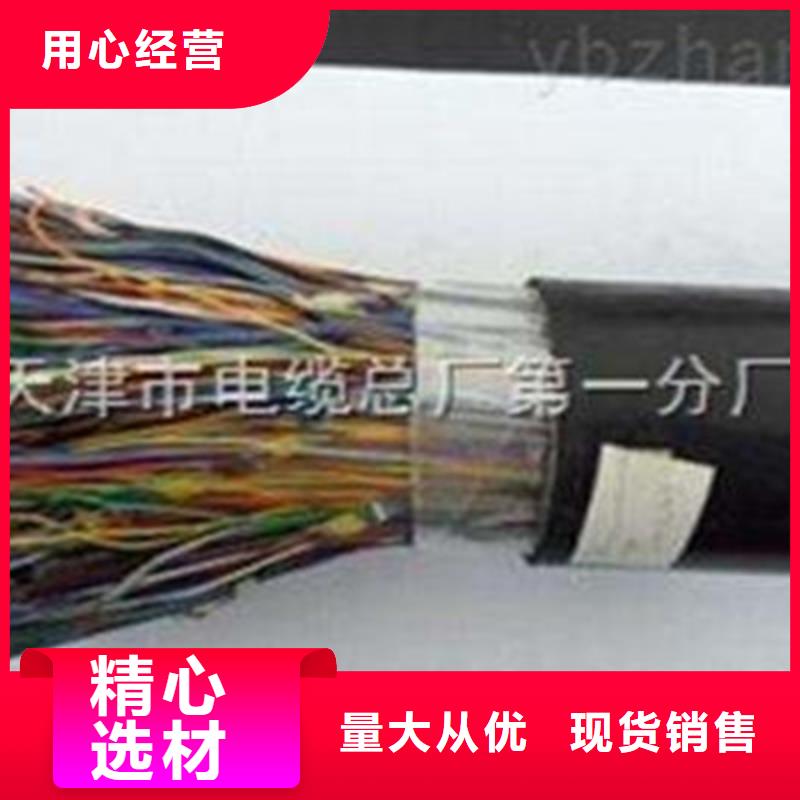 STP/92-120鎧裝通訊電纜1X0.3