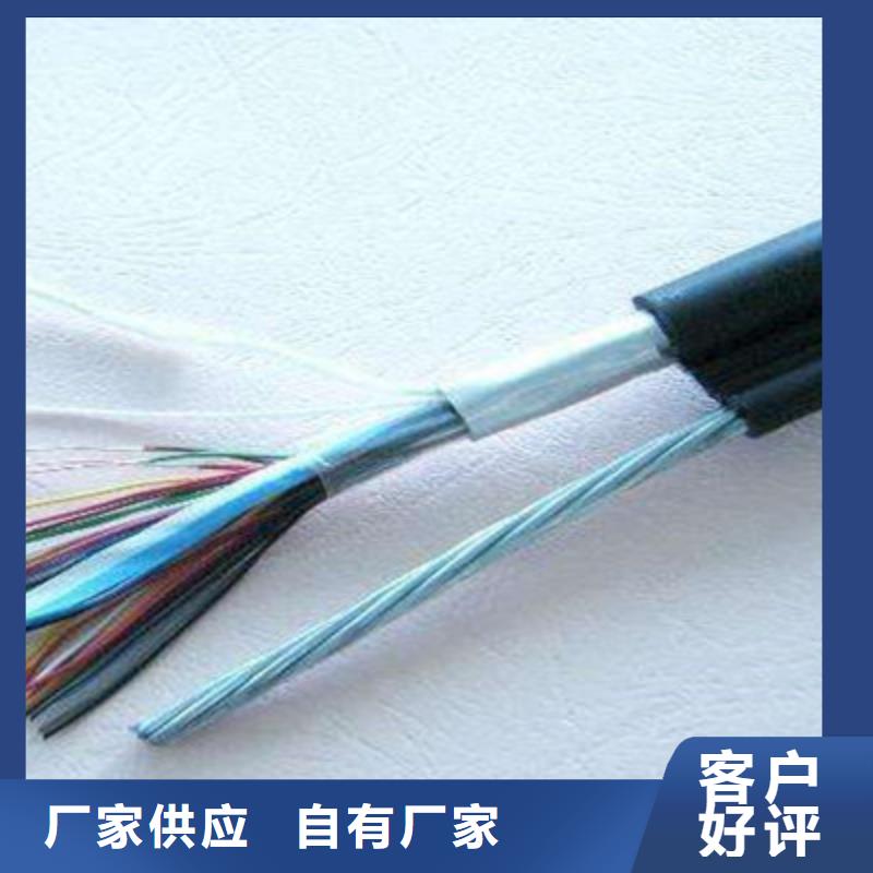 RS232/RS485通訊電纜1X1.0