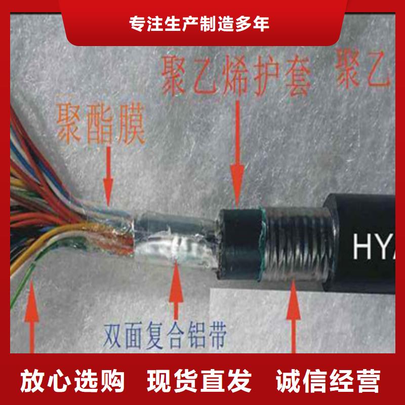 STP-1103CX20AWG通訊電纜12X2.5