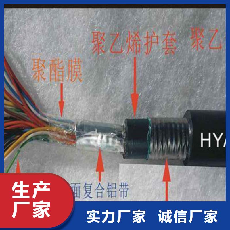 對絞通訊電纜RS485現(xiàn)貨供應(yīng)