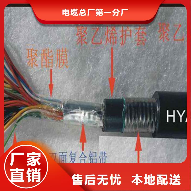 通信電纜專業完善售后