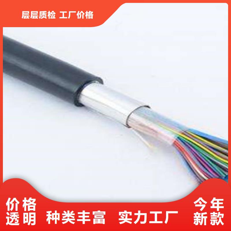 【通信電纜-屏蔽電纜源頭廠家直銷】