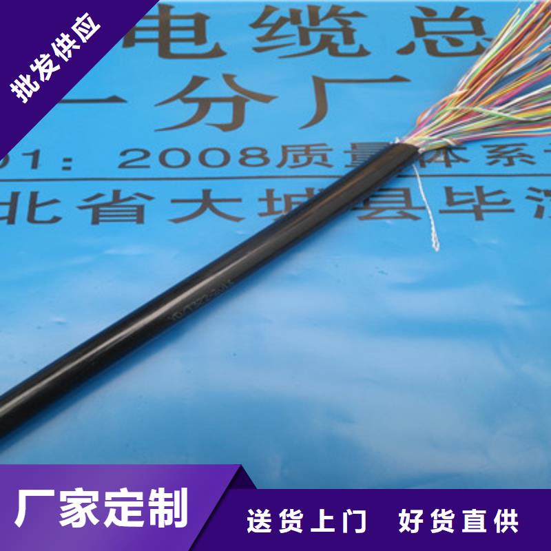 9841型通訊電纜誠信廠家