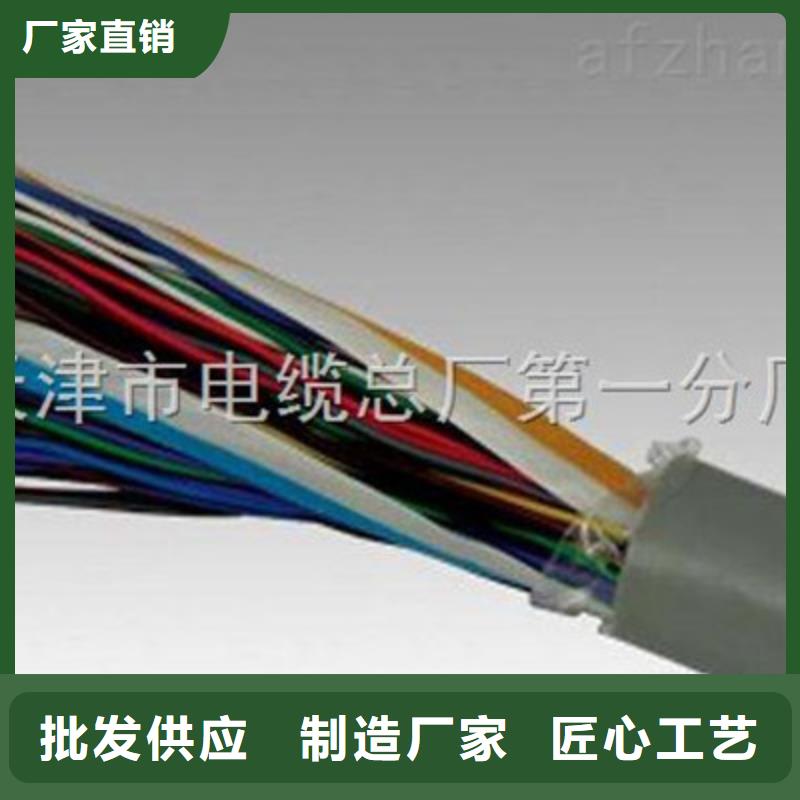 STP/92-120鎧裝通訊電纜1X0.3