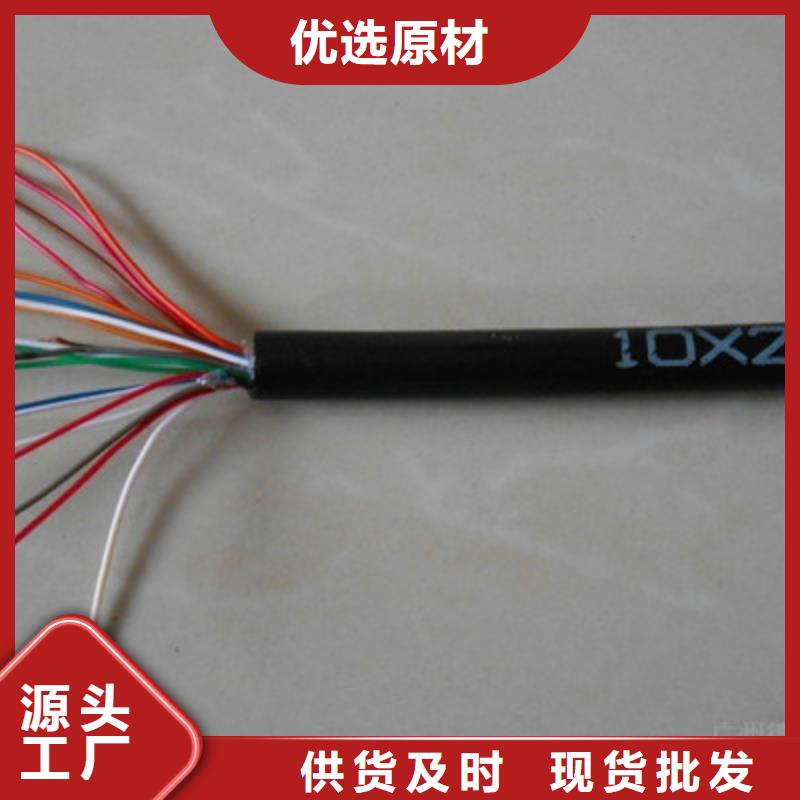 通讯电缆CO-IREV-SX6X0.3