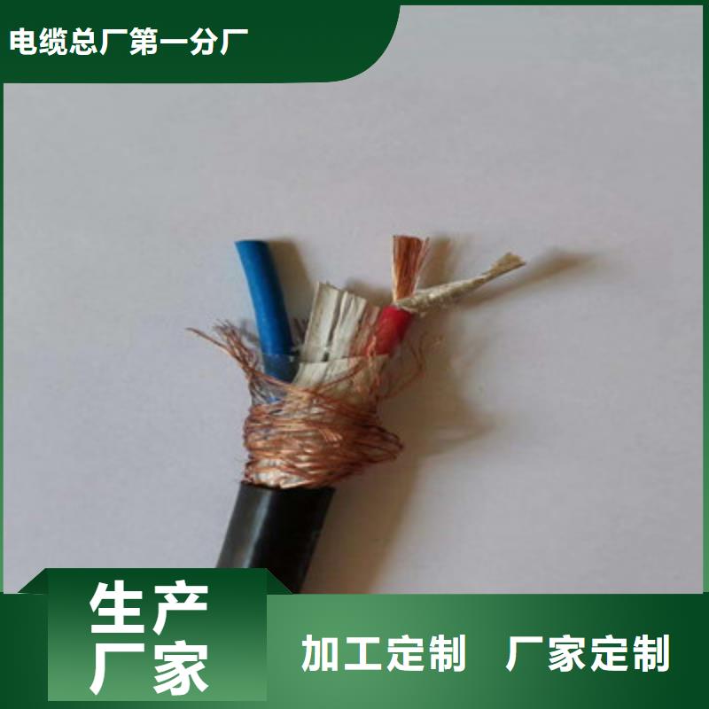 計(jì)算機(jī)屏蔽電纜DJYJVP2-225X2X0.75