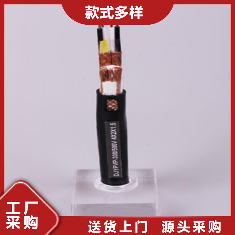 DJYJPVPR铠装计算机电缆厂家-高品质