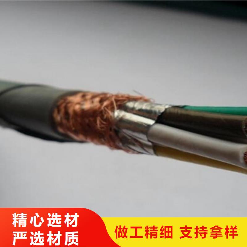 計算機電纜屏蔽電纜品質(zhì)有保障