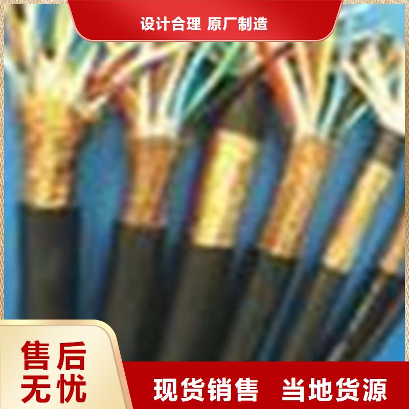 采購(gòu)DJYJVP2R計(jì)算機(jī)屏蔽電纜必看-值得信賴