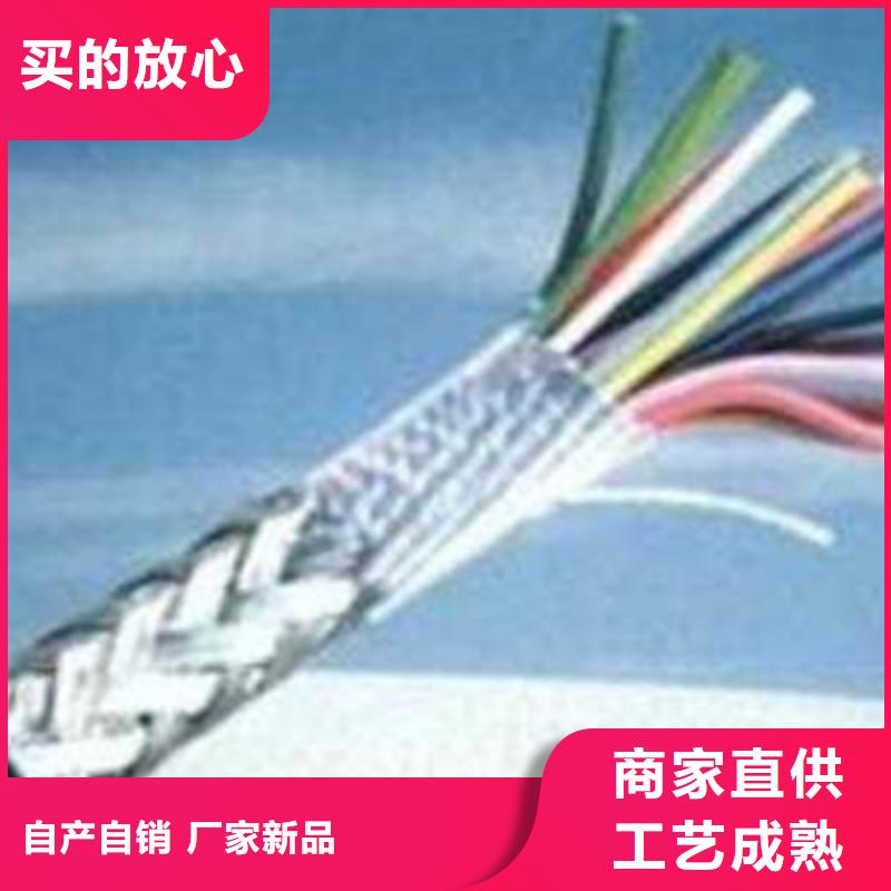 NH-ZA-105耐火計算機電纜企業(yè)-質(zhì)量過硬