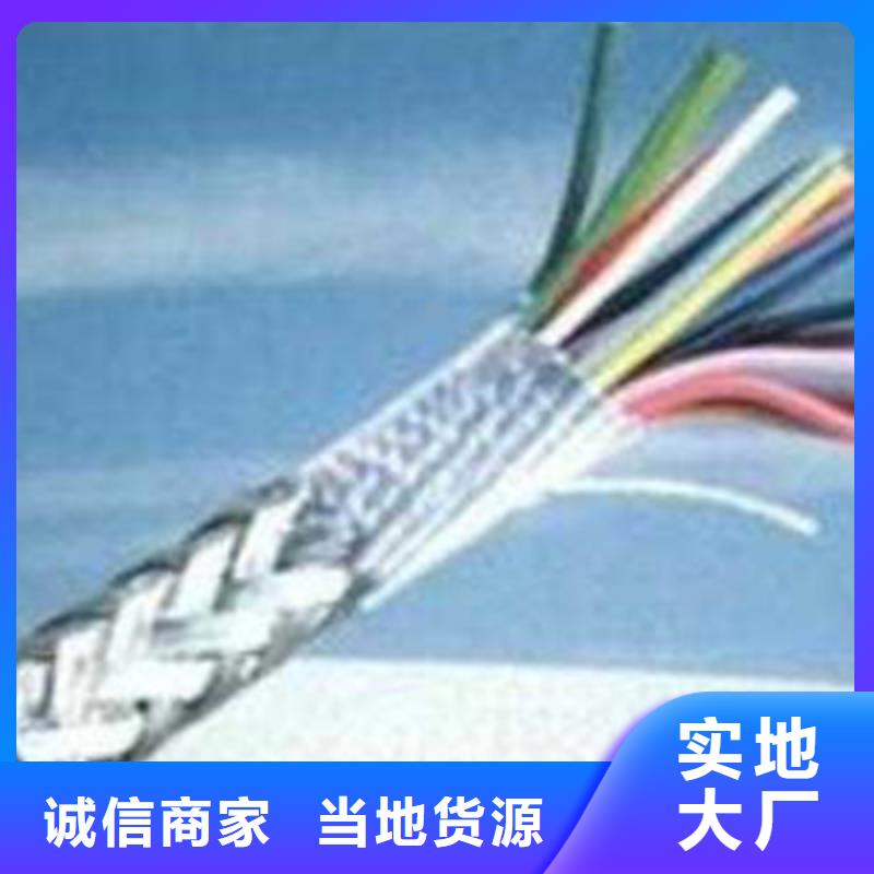 儋州市耐火計算機電纜NH-DJYVP324X2X1.0