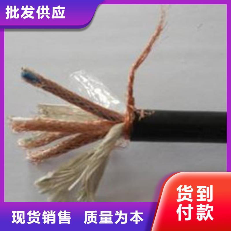 計算機屏蔽電纜DJYJPVPR3X0.75