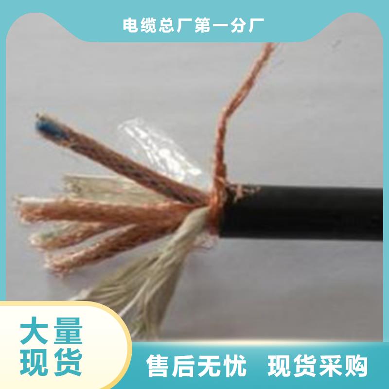 計算機電纜_【電纜生產(chǎn)廠家】優(yōu)選廠家