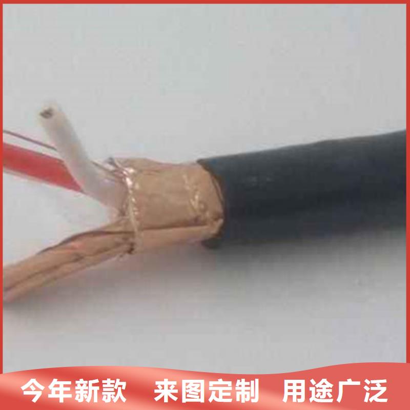 計算機屏蔽電纜DJYJP2V2R研發廠家