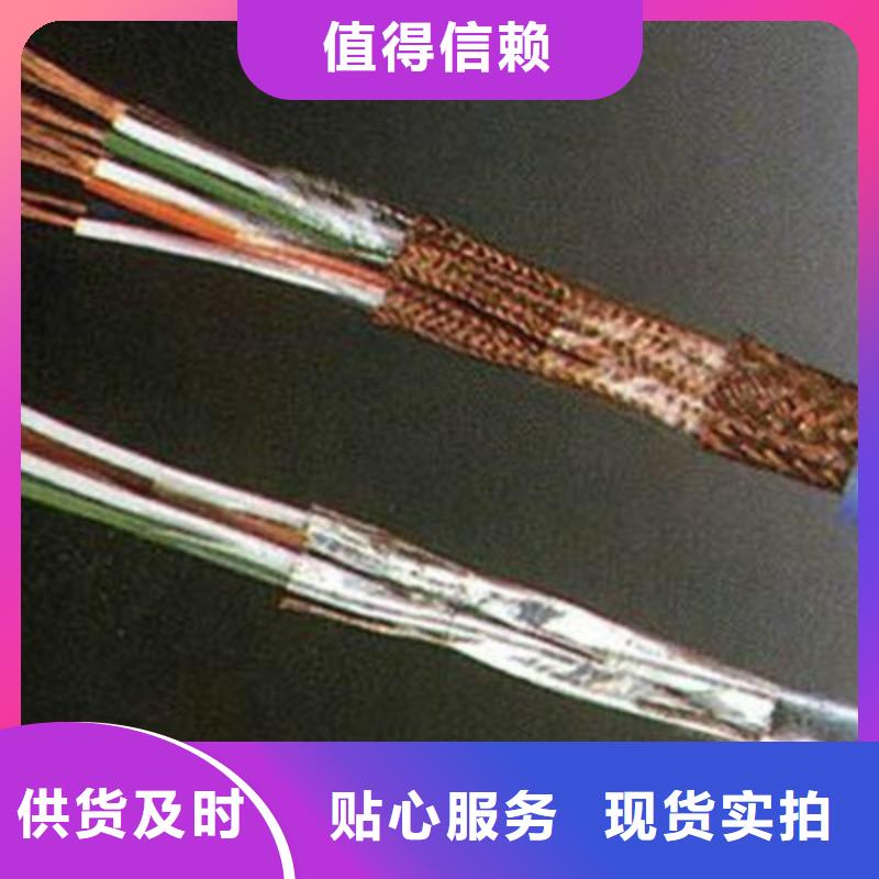 計算機屏蔽電纜BIA-JYPV-2R4X2X2.5