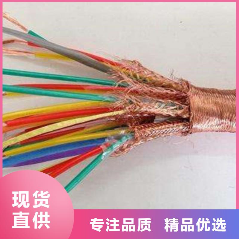 計(jì)算機(jī)屏蔽電纜DJYJP2V2R_計(jì)算機(jī)屏蔽電纜DJYJP2V2R生產(chǎn)廠家