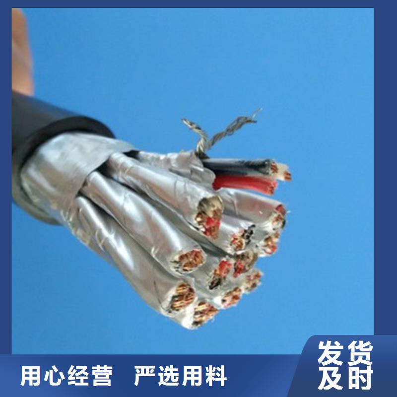 WDZ-ZRB-DJYP3VDP2低煙無鹵計(jì)算機(jī)電纜廠家供應(yīng)價(jià)格