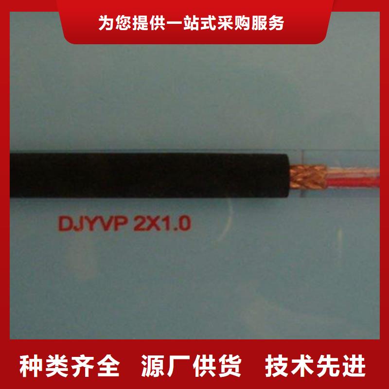 耐火計算機電纜NH-DJYVP14X2X2.5