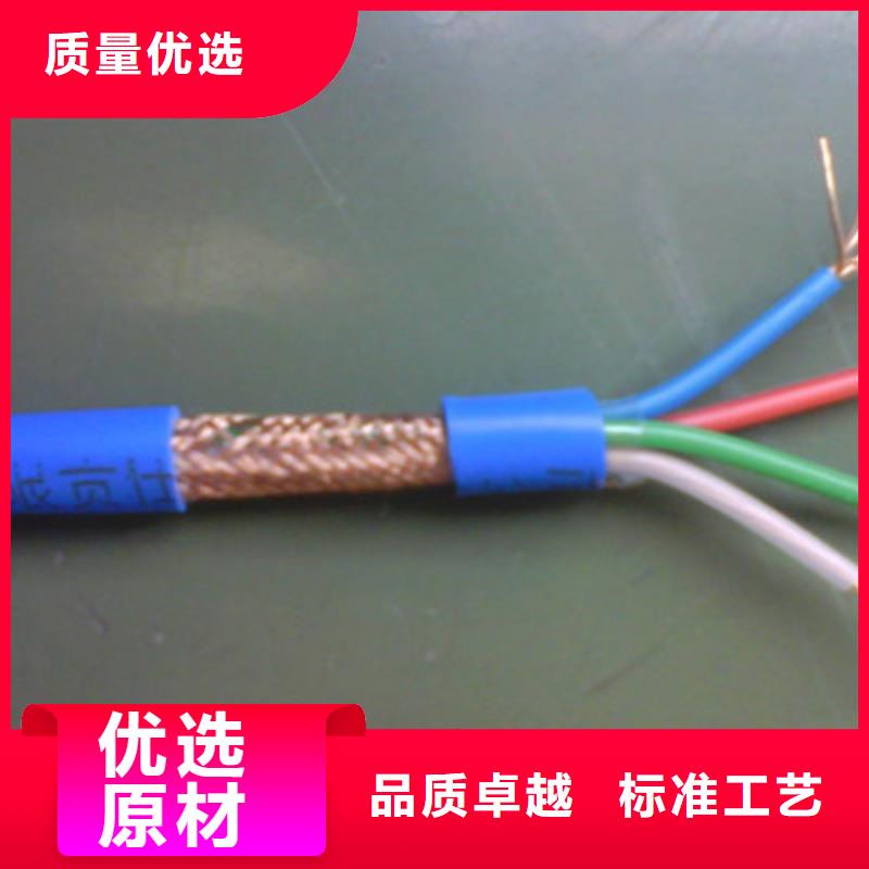 耐火計算機電纜NH-ZR-KJYYVRPL2219X2X0.75