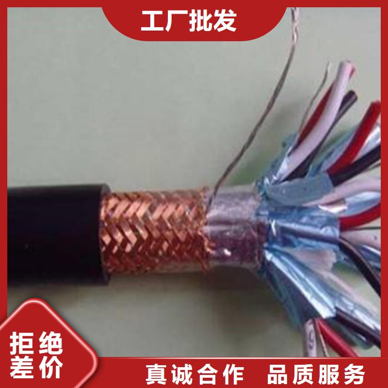 ZRC-JVPV-2A鎧裝計(jì)算機(jī)電纜有資質(zhì)