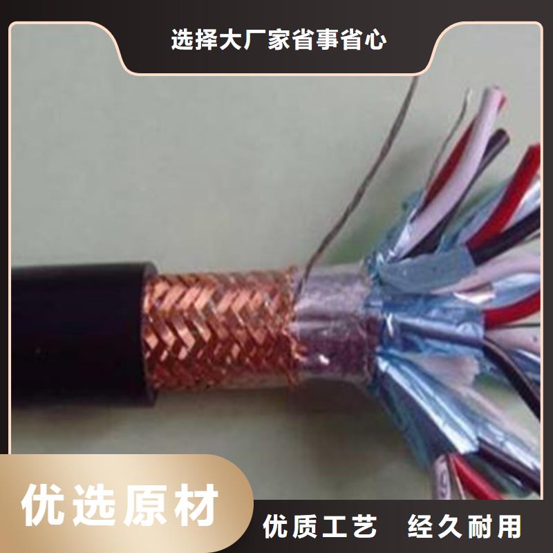 ZR-DJYJP2VP2阻燃計(jì)算機(jī)電纜14X2X0.75