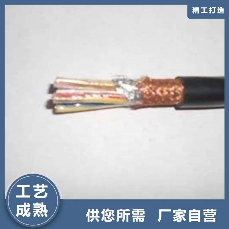 阻燃計算機電纜ZR-KJCRP2X2X2.5