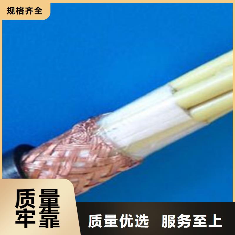 低烟无卤计算机电缆WDZ-DJYJP2V2R贴心服务