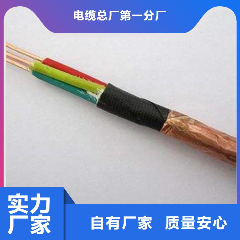 NH-RYSPVP耐火計算機電纜1X2X2.5