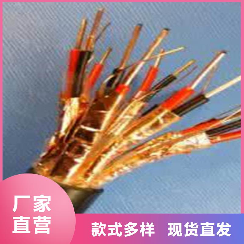 計算機屏蔽電纜DJYJVP2-22出口品質