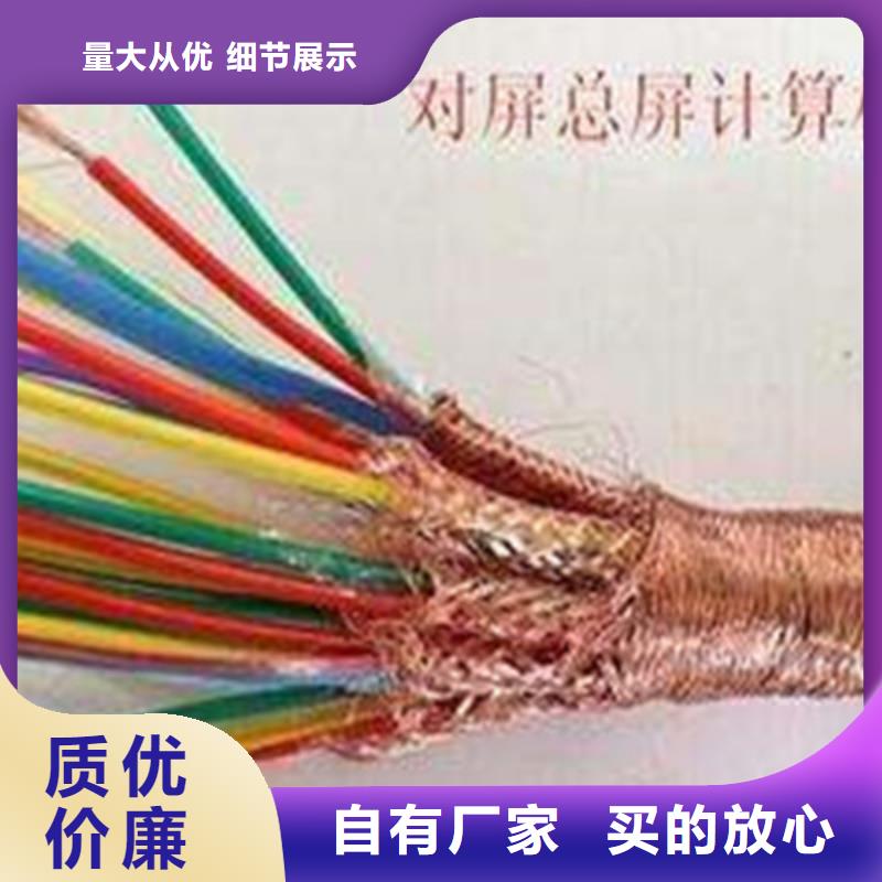 鎧裝計(jì)算機(jī)電纜DJYJVP質(zhì)量優(yōu)質(zhì)的廠家